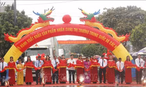 Công bố xuất khẩu nhãn Sơn La 