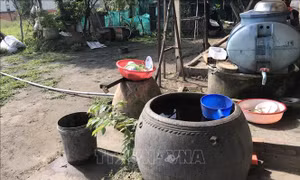 Địa phương đầu tiên ở Nghệ An ghi nhận các ca mắc sốt xuất huyết