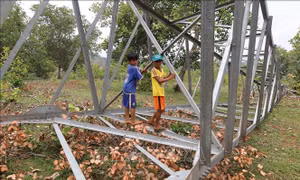 Đồng Nai: Gần 60 trụ điện bỏ không nhiều năm, người dân sống trong bất an