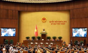 Nghị quyết Kỳ họp thứ Nhất, Quốc hội khóa XVI