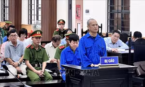 Hoãn phiên tòa xét xử vụ lừa đảo hơn 600 tỷ đồng của Vietcombank An Giang