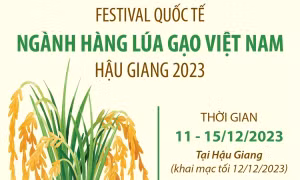 Festival Quốc tế ngành hàng lúa gạo Việt Nam tại Hậu Giang 