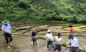 Nhân rộng mô hình 'bản người Mông tự quản' vùng cao Yên Bái