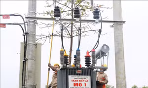 Một công nhân điện lực Lào Cai tử nạn khi phát quang lưới điện