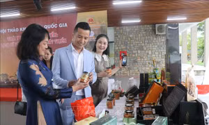 Triển vọng phát triển tinh hoa y học cổ truyền Thái Y viện triều Nguyễn