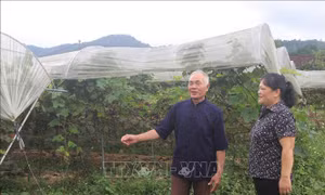 Hỗ trợ đồng bào vùng cao tỉnh Cao Bằng thoát nghèo hiệu quả
