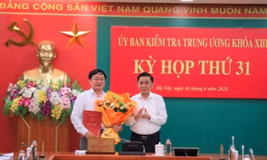 Bộ Chính trị chuẩn y Phó Chủ nhiệm Ủy ban Kiểm tra Trung ương khóa XIII Nguyễn Văn Quyết