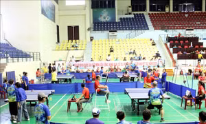 250 vận động viên khuyết tật dự Giải vô địch quốc gia các môn Cầu lông, Bóng bàn, Cử tạ, Pickleball