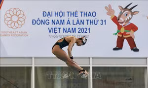 Chiều 8/5, khởi tranh môn nhảy cầu tại SEA Games 31
