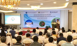 Lấy nông dân làm gốc trong phát triển chuỗi giá trị cà phê
