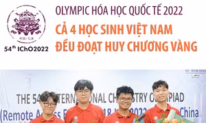 Olympic Hóa học quốc tế 2022: Cả 4 học sinh Việt Nam đều đoạt Huy chương Vàng