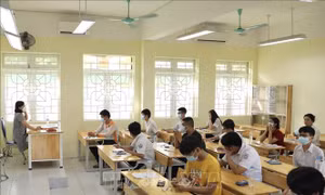 Hà Nội: Điều chỉnh chỉ tiêu, điểm chuẩn trúng tuyển lớp 10 đối với thí sinh diện F0