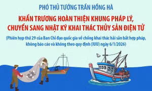 Khẩn trương hoàn thiện khung pháp lý, chuyển sang Nhật ký khai thác thủy sản điện tử