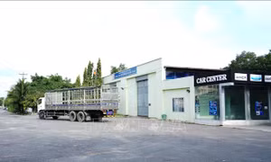 Tây Ninh: Tăng ca phục vụ đăng kiểm xe cho người dân
