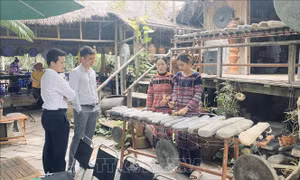 Phú Yên: Đưa nghệ thuật đàn đá vào phục vụ khách du lịch