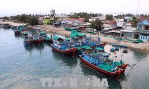 Việt Nam cam kết hướng đến phát triển nghề cá có trách nhiệm và bền vững