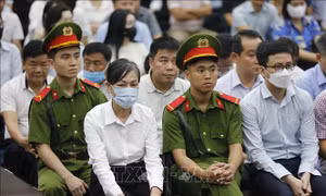 Vụ Tập đoàn Phúc Sơn: Bị cáo Hoàng Thị Thúy Lan kháng cáo xin giảm nhẹ hình phạt