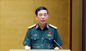 Quốc hội thông qua hai luật liên quan đến quốc phòng - an ninh