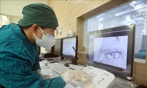 Đẩy nhanh xây dựng cơ sở dữ liệu và hạ tầng số ngành y tế