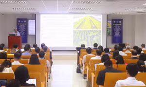 Triển khai Chương trình khoa học và công nghệ phục vụ mục tiêu Net Zero