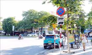 Xử lý dứt điểm tình trạng phương tiện đón, trả khách không đúng quy định