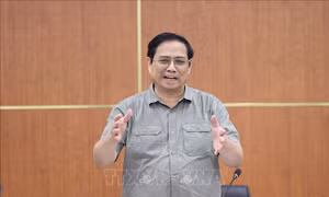 Thủ tướng: Xây dựng đề án tái cơ cấu Nhà máy Đạm Ninh Bình đảm bảo chất lượng, khả thi