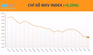MXV-Index giằng co quanh vùng 2.700 điểm, dòng tiền ‘quay lại’ nhóm nông sản