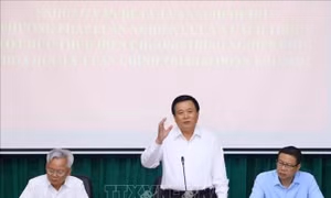 Chuẩn bị những cơ sở lý luận và thực tiễn, bổ sung hoàn thiện cương lĩnh xây dựng đất nước