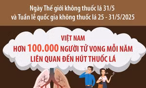 Việt Nam có trên 100.000 người tử vong mỗi năm liên quan đến hút thuốc lá