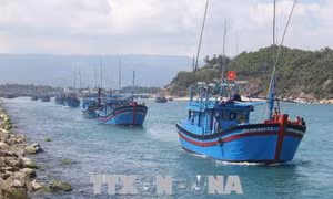 Khắc phục 'thẻ vàng' IUU : Ngăn chặn tàu cá có dấu hiệu vi phạm khai thác IUU