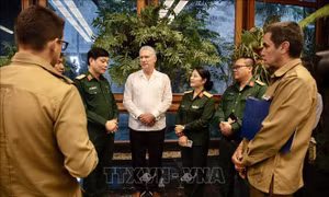 Chủ tịch Cuba khẳng định luôn coi trọng quan hệ mọi mặt với Việt Nam