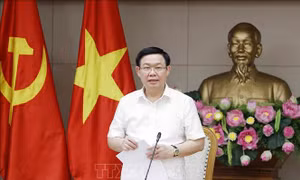 Xử lý 12 dự án yếu kém ngành Công Thương đúng nguyên tắc cơ chế thị trường 