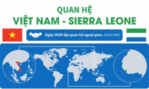 Quan hệ Việt Nam - Sierra Leone
