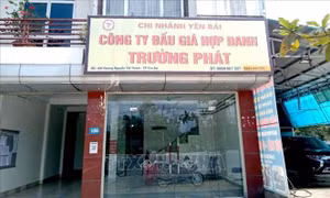 Khởi tố thêm 6 bị can trong vụ vi phạm quy định về đấu giá tài sản ở Yên Bái