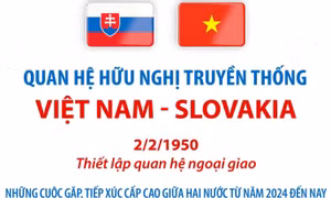 Quan hệ hữu nghị truyền thống Việt Nam - Slovakia