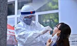 Hà Nội kêu gọi người dân khai báo y tế hằng ngày, nhất là những người ho, sốt