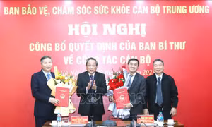 Kiện toàn, bổ sung thành viên Ban Bảo vệ, chăm sóc sức khỏe cán bộ Trung ương