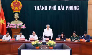 Phó Thủ tướng Thường trực: Chính phủ trông cậy vào những địa phương đầu tàu của nền kinh tế