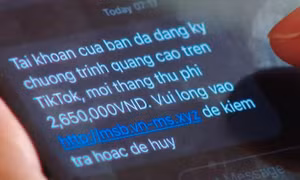 Lừa đảo trực tuyến tại Việt Nam tăng gần 65%