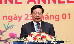 Gặp mặt Đoàn Ngoại giao nhân dịp Tết Kỷ Hợi 2019