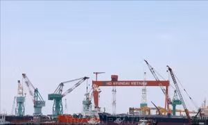 Kỳ vọng Vân Phong dẫn dắt tăng trưởng cho kinh tế Khánh Hòa