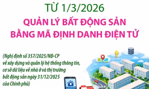 Từ 1/3/2026: Quản lý bất động sản bằng mã định danh điện tử