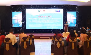 Thúc đẩy vai trò của nữ lãnh đạo, quản lý và đại biểu dân cử
