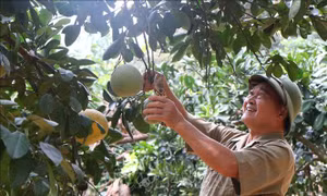 Người anh hùng giữa đời thường
