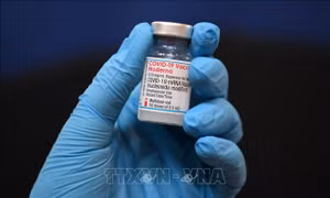 Vaccine kép ngừa biến thể Beta của Moderna mang lại hiệu quả phòng chống Omicron cao