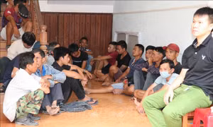 Triệt phá thành công sới bạc bằng hình thức đá gà tại đỉnh đèo Mang Yang, Gia Lai 