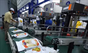 Xây dựng thương hiệu lúa gạo Việt Nam - Bài cuối: Phát triển chuỗi giá trị lúa gạo