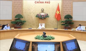 Thủ tướng Nguyễn Xuân Phúc: 'Không được quá vui mừng mà phải cảnh giác'