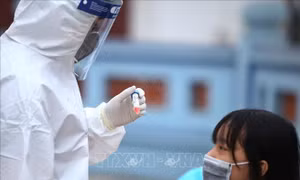 Tổ chức phi chính phủ nước ngoài sẵn sàng hỗ trợ Chính phủ Việt Nam chống dịch