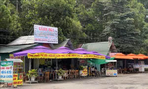 Bắt đầu tháo dỡ công trình trái phép trong Khu du lịch quốc gia hồ Tuyền Lâm